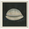 Coastal Seashell Watercolor Print – 8 Styles Available