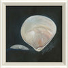 Coastal Seashell Watercolor Print – 8 Styles Available