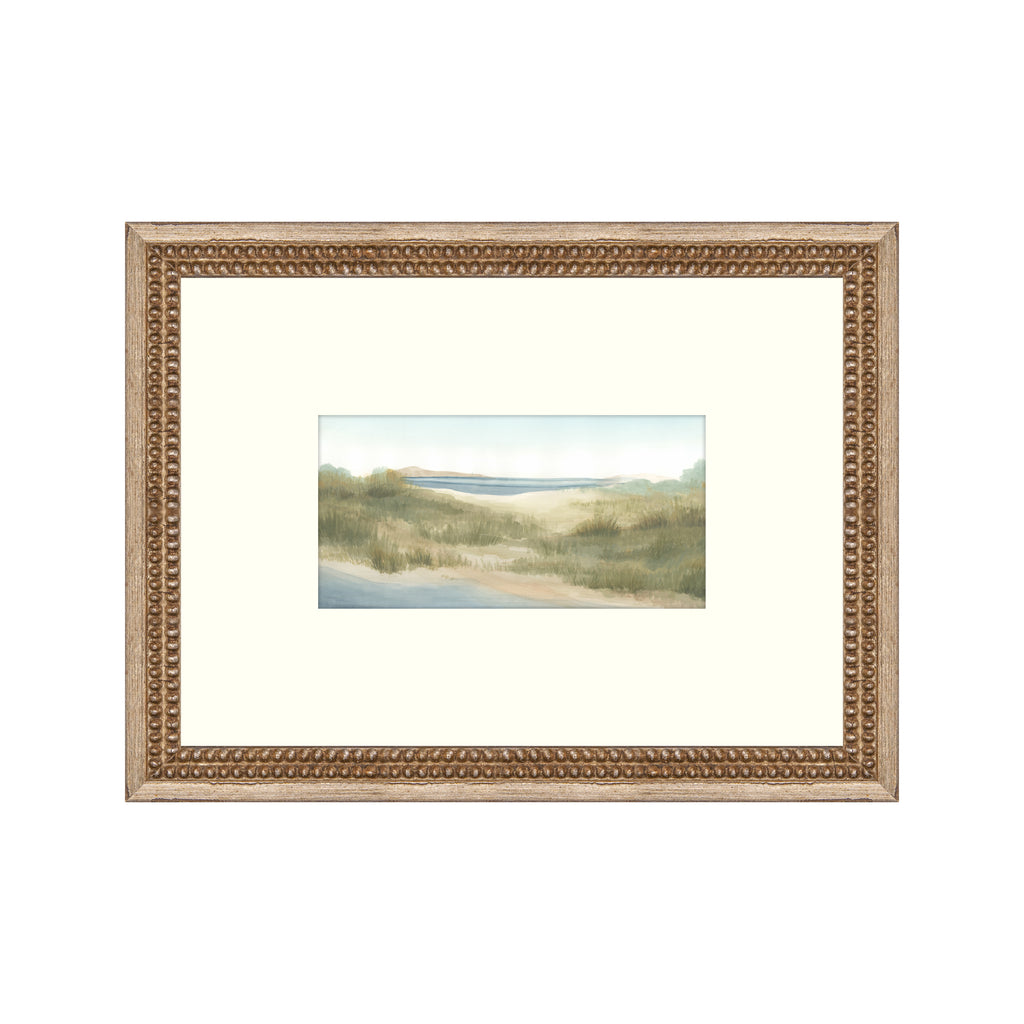 Coastal Scene