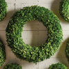 Boxwood Wreath