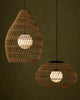 Fishtrap Outdoor Pendant