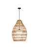 Fishtrap Outdoor Pendant
