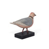 Franklin's Rosy Gull on Wood Block