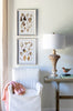 Amphitrite Table Lamp