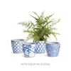 Dynasty Midi Pots - Set of 4