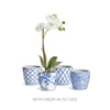 Dynasty Midi Pots - Set of 4