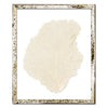 Classic Sea Fan Shadowbox