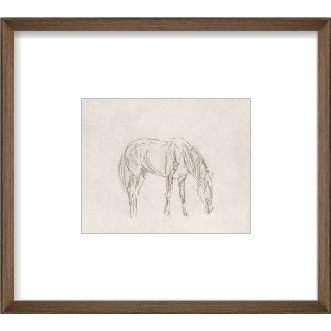 Equine Impression I