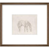 Equine Impression I