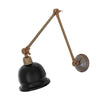 Duffy Adjustable Arm Picture Sconce