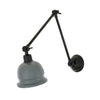 Duffy Adjustable Arm Picture Sconce
