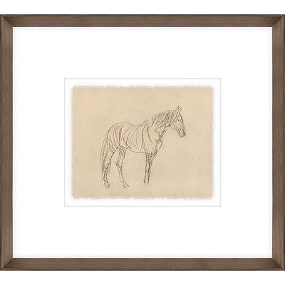 Equine Impression II