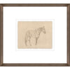 Equine Impression II