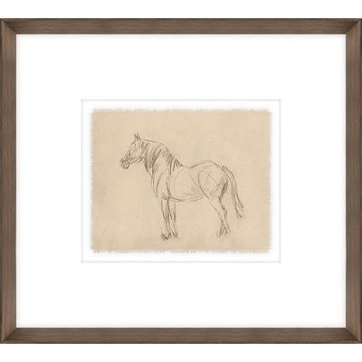 Equine Impression IV