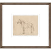 Equine Impression IV