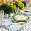 Bettina Napkin - Blue Gingham (Set of 4)