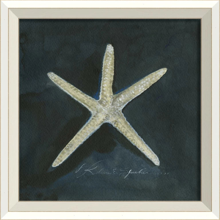 Coastal Seashell Watercolor Print – 8 Styles Available