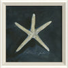 Coastal Seashell Watercolor Print – 8 Styles Available