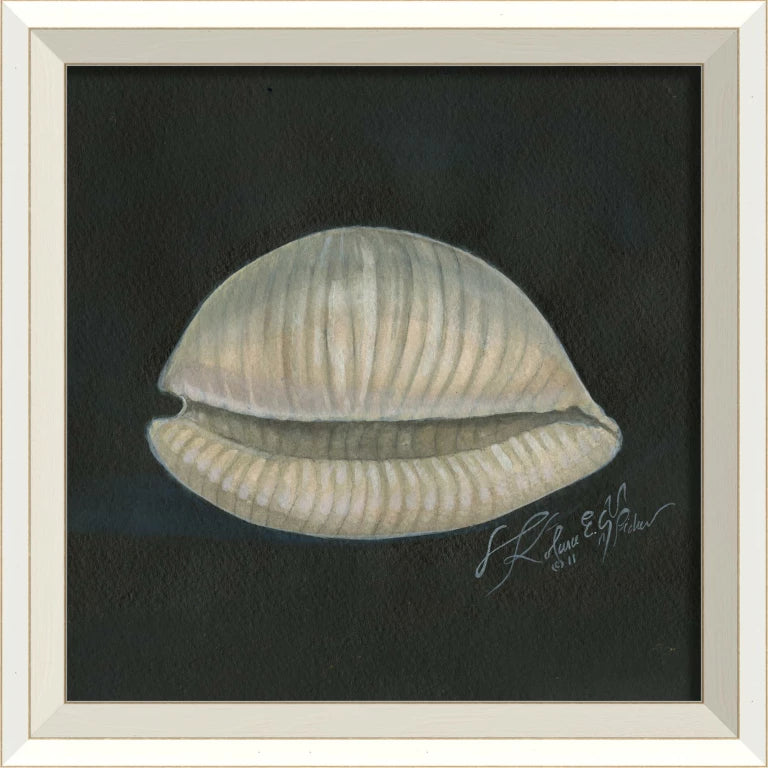 Coastal Seashell Watercolor Print – 8 Styles Available