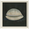Coastal Seashell Watercolor Print – 8 Styles Available