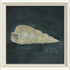 Coastal Seashell Watercolor Print – 8 Styles Available