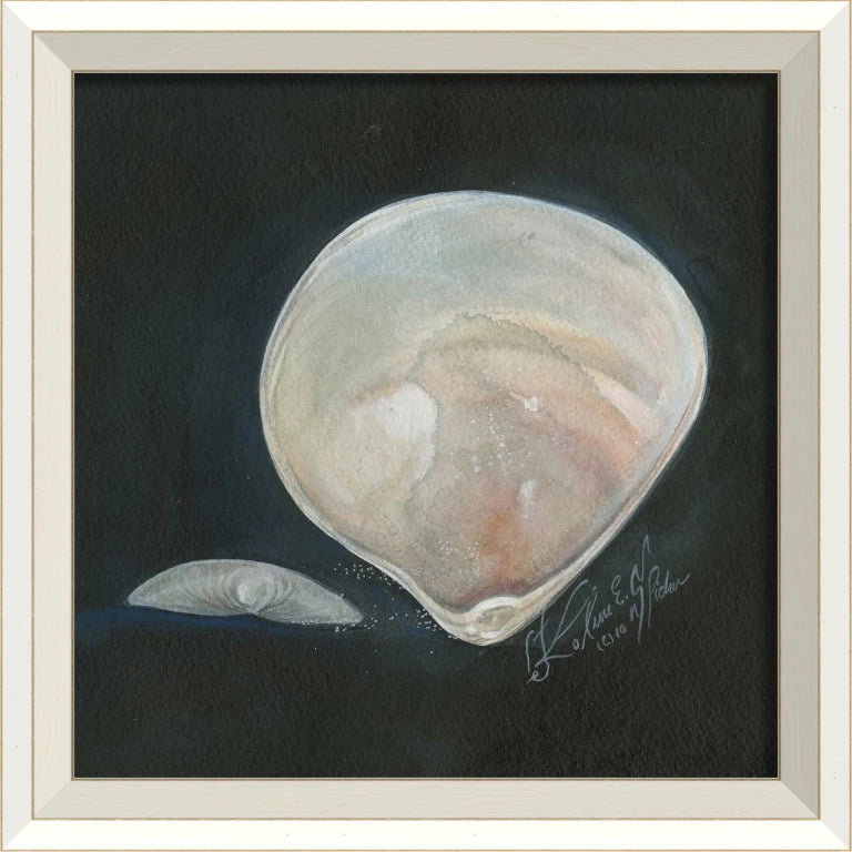 Coastal Seashell Watercolor Print – 8 Styles Available