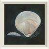 Coastal Seashell Watercolor Print – 8 Styles Available