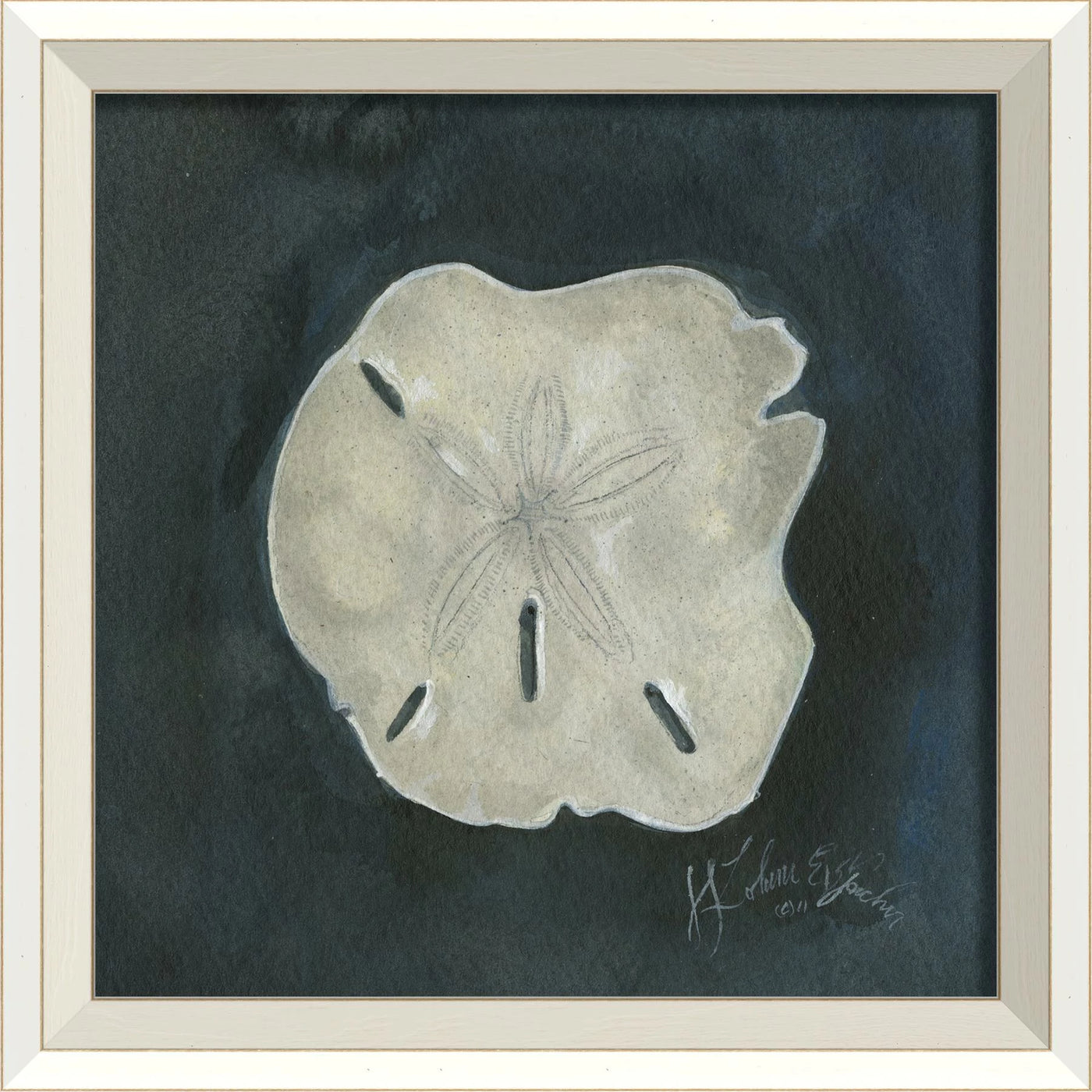 Coastal Seashell Watercolor Print – 8 Styles Available