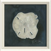 Coastal Seashell Watercolor Print – 8 Styles Available
