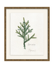 Framed - Laurel Gold - Torchon - Warm White Mat / 17.3 x 20.5