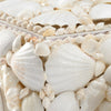 Key Largo Shell Boxes, Set of 3