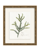 Framed - Laurel Gold - Torchon - Warm White Mat / 12.5 x 14.5