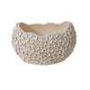 Caroline  Bowl