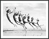 Graceful Line of Beach Dancers