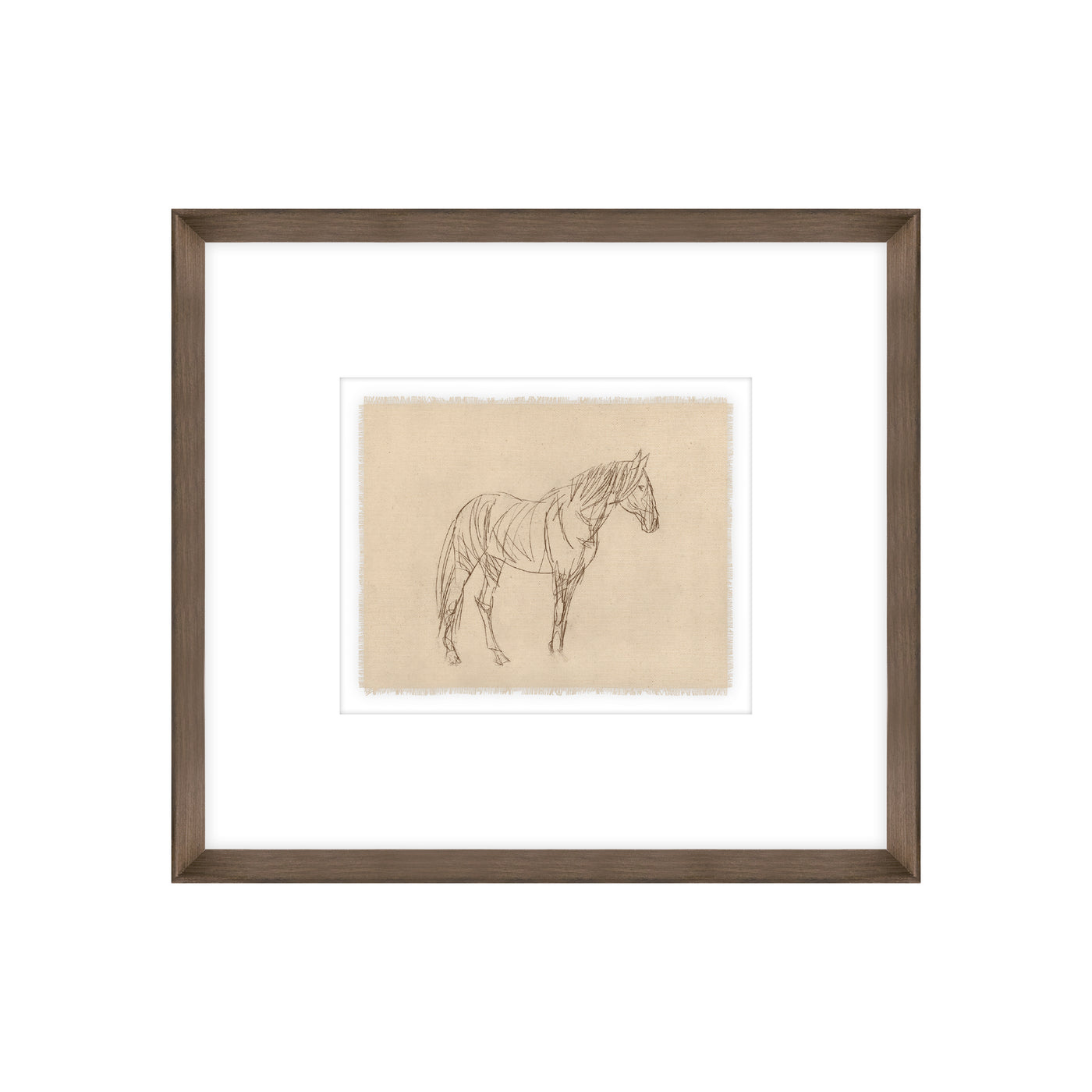Equine Impression II