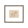 Equine Impression II