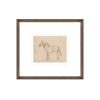 Equine Impression IV