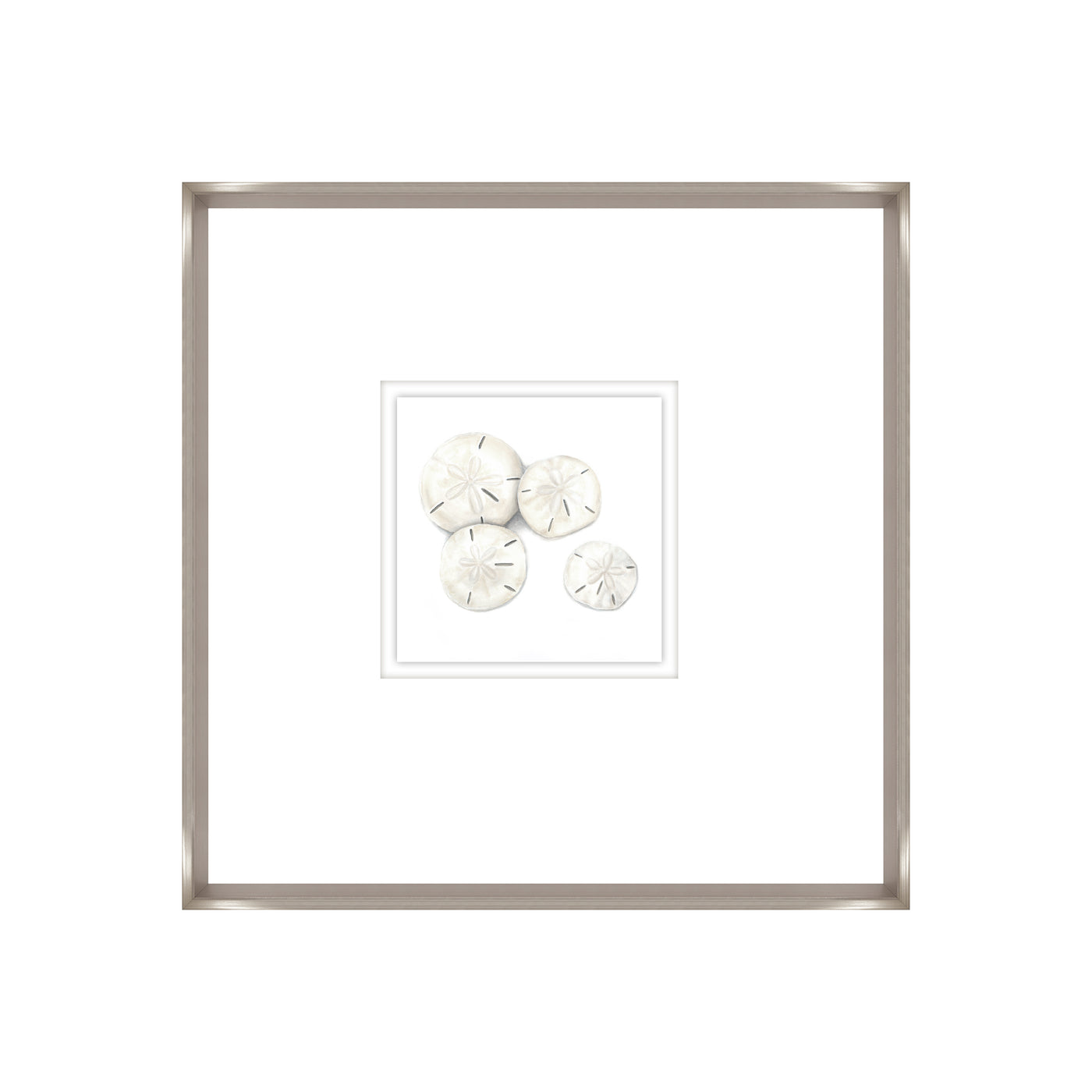 Sand Dollars I