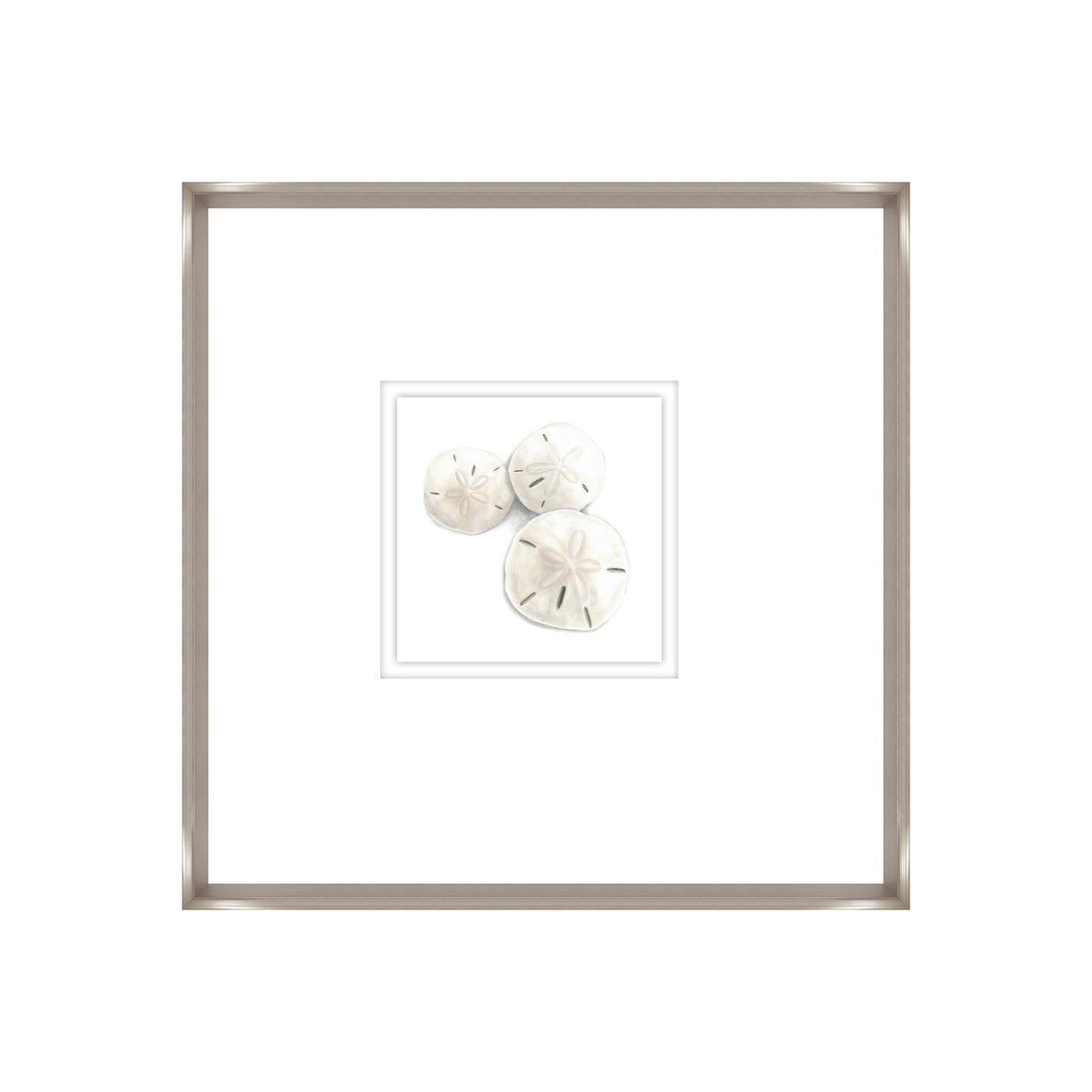 Sand Dollars II
