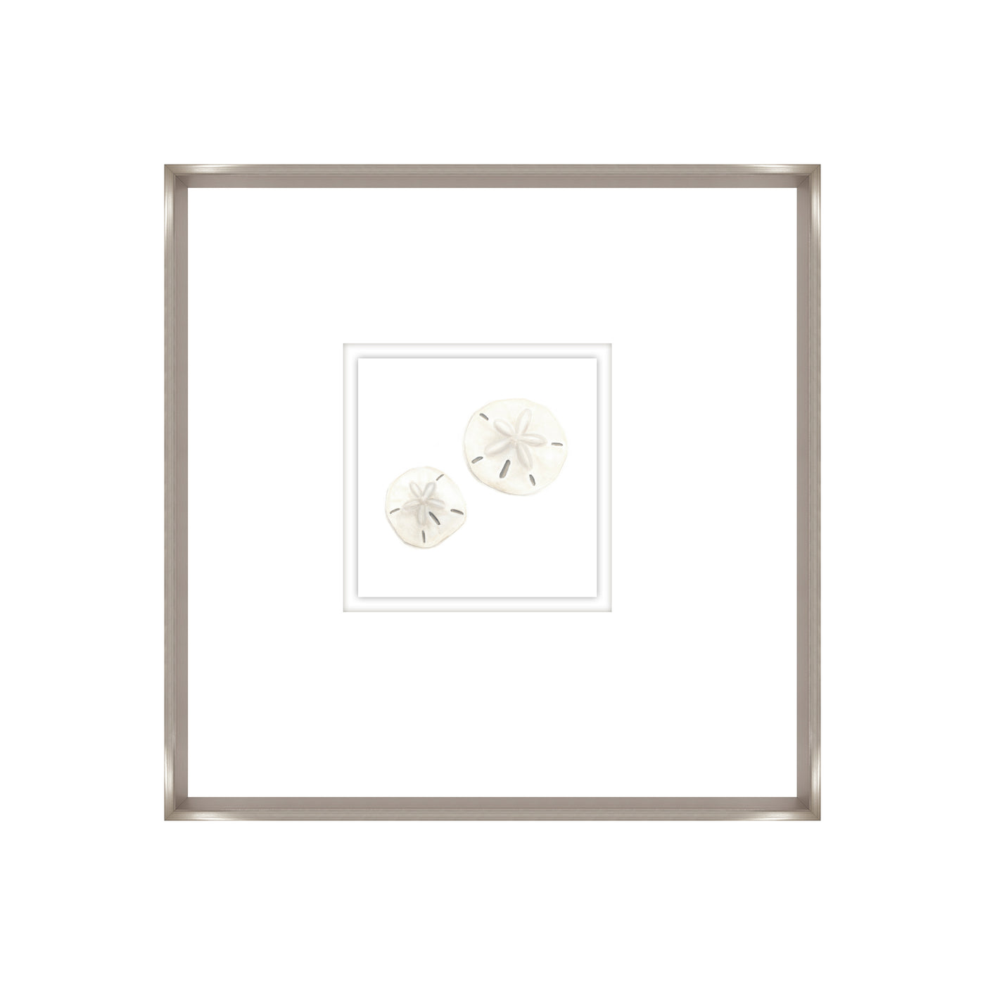 Sand Dollars III