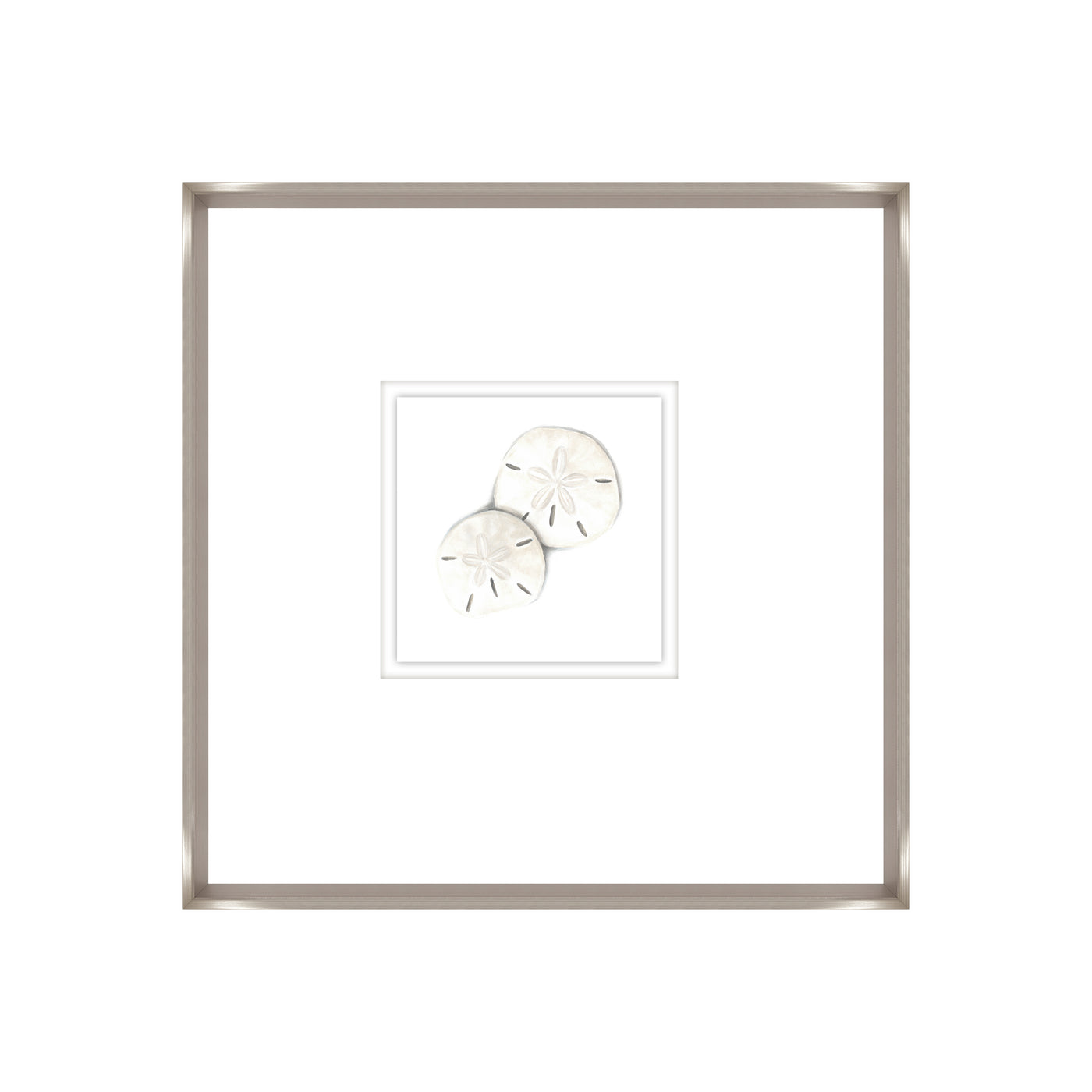 Sand Dollars IV