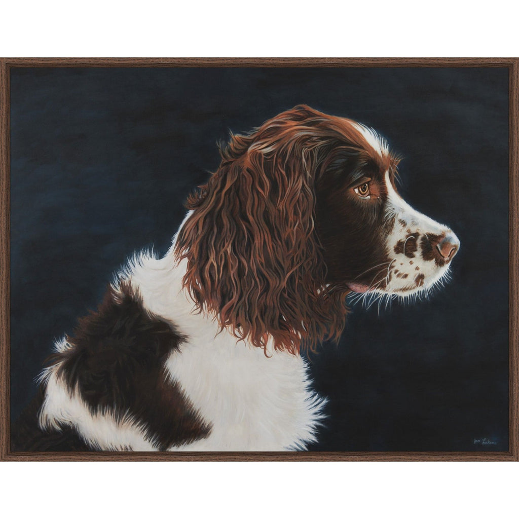 Springer Spaniel Portrait