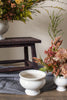 Dawson Compote