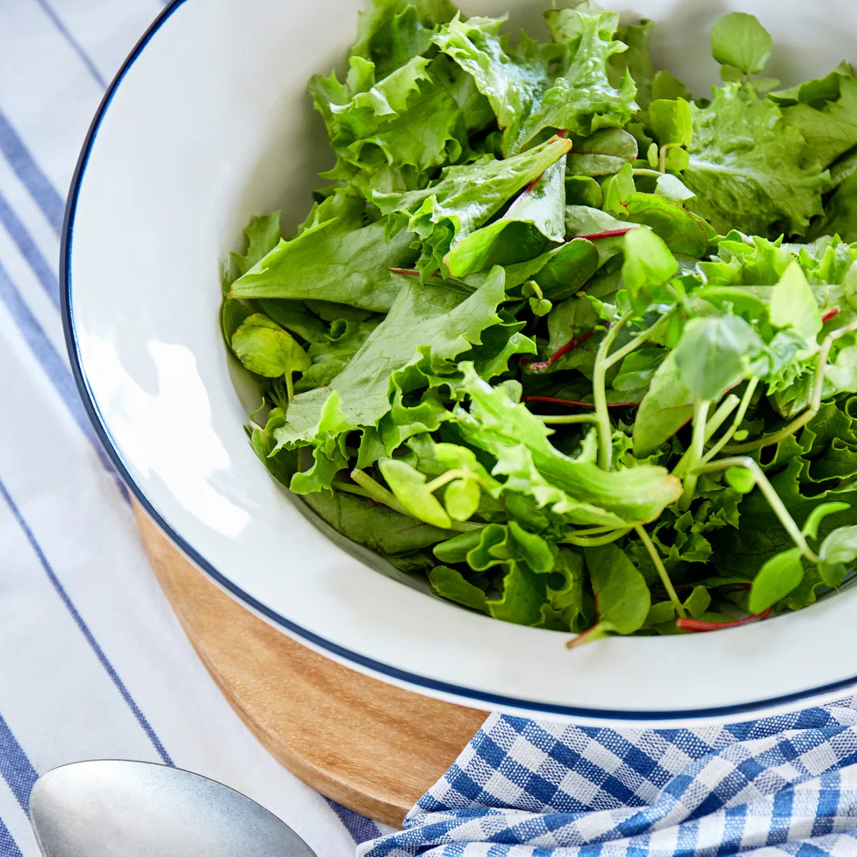 Beja Serving Bowl (White with Blue)