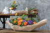 Driftwood Bowl