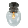 Charleston Flush Light