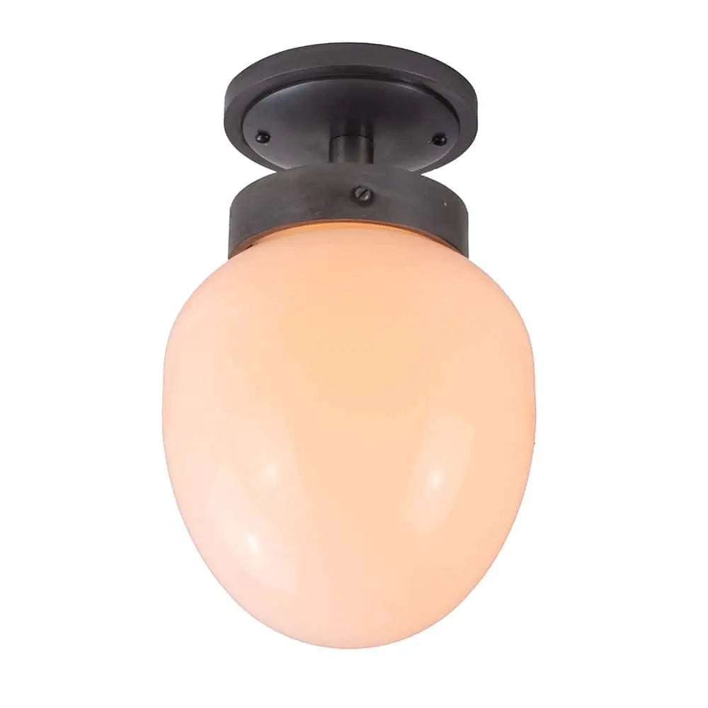 Charleston Flush Light