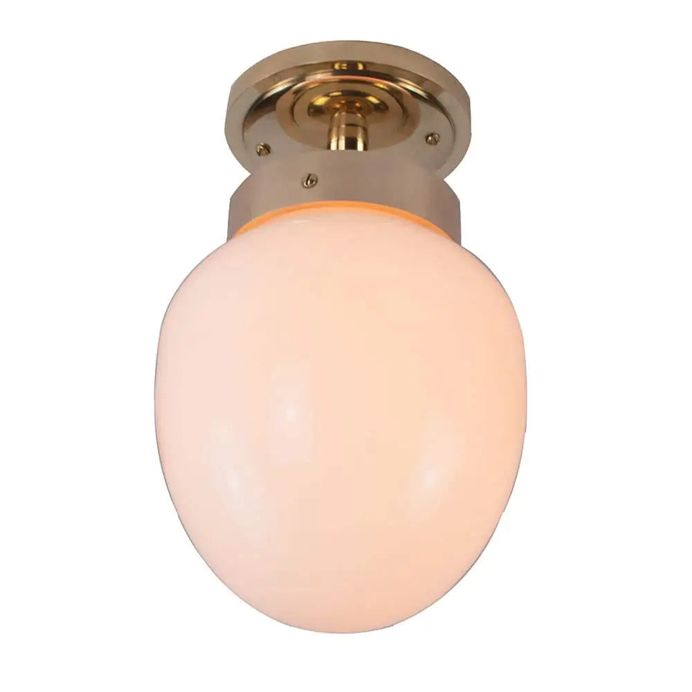 Charleston Flush Light