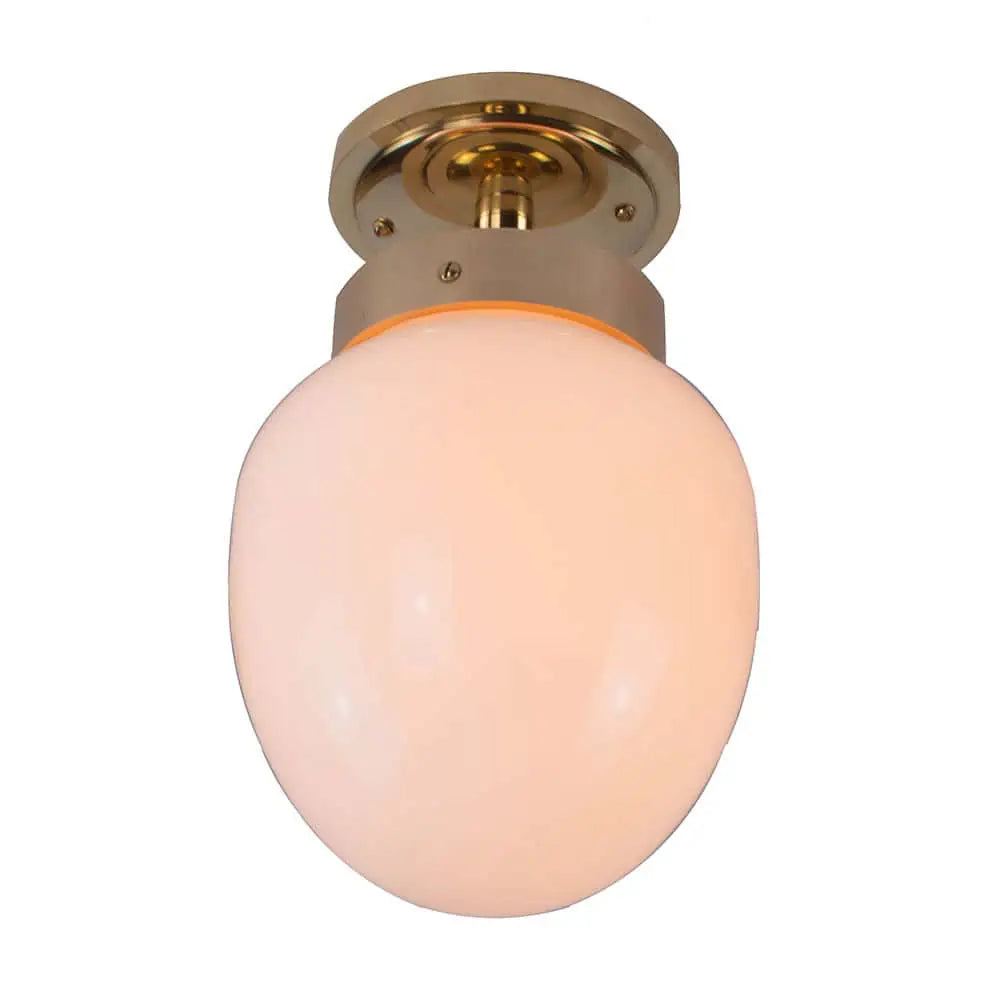 Charleston Flush Light