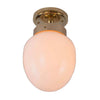 Charleston Flush Light